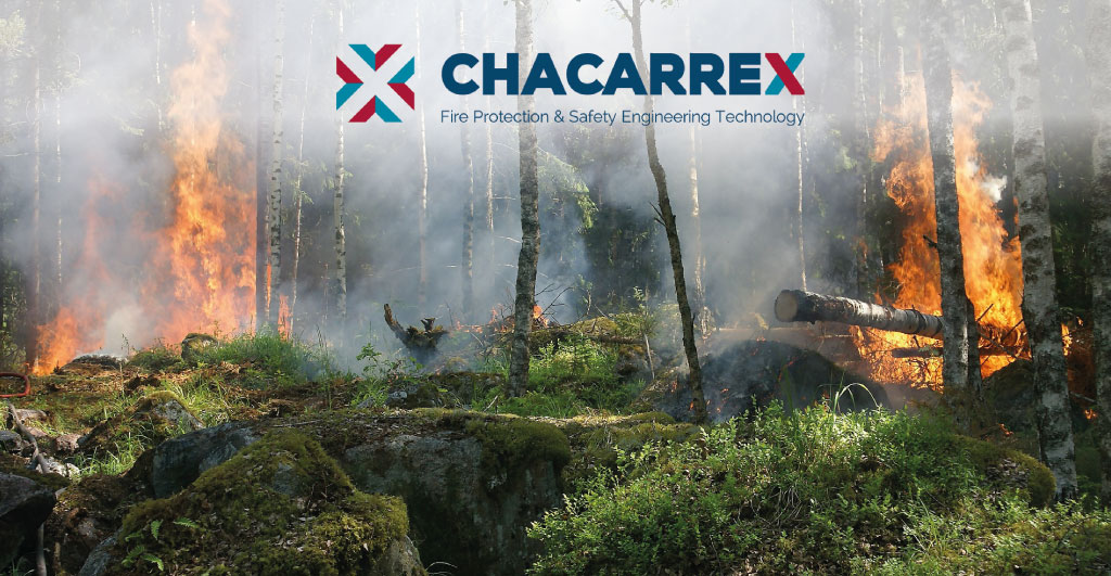 Incendios de verano - Chacarrex
